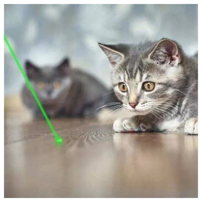 Pointeur laser vert ultra-puissant - 4 en 1 professionnel longue portée