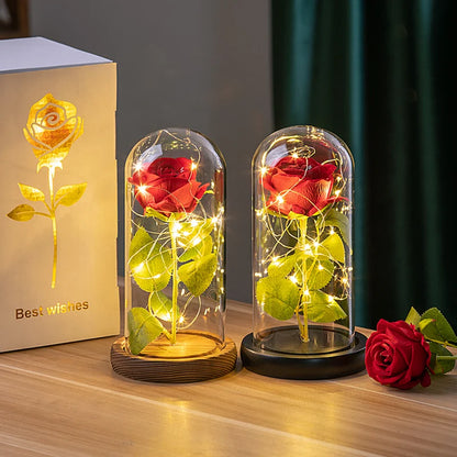 Eternal Rose with LED Light
