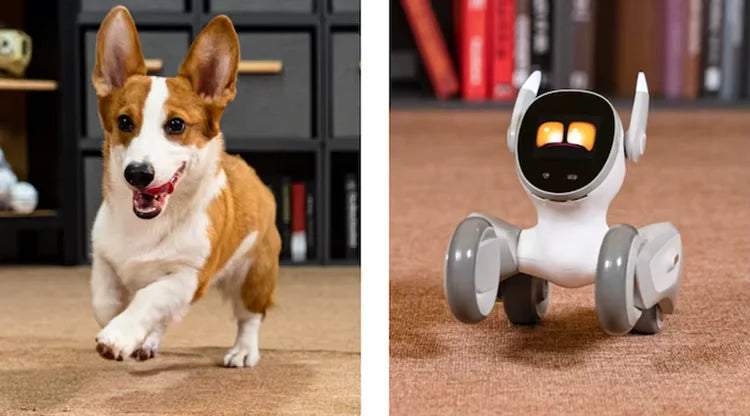New Advanced AI Pet Robot Loona