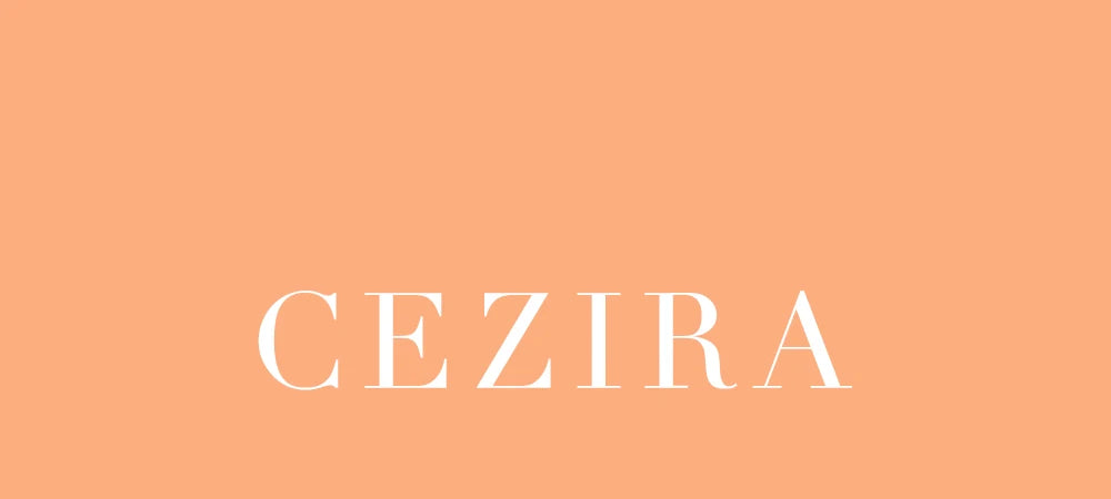 Fashion Women’s Glamorous Elegant Novelty Shell Shaped Clutch Solid Color Acrylic Long Chain Evening Bag Party Dinner Banquet