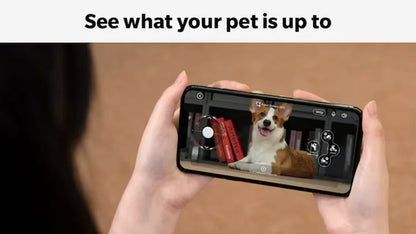 New Advanced AI Pet Robot Loona