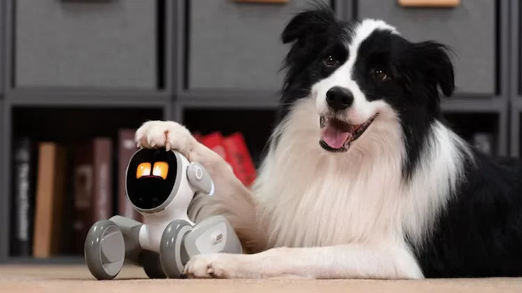 New Advanced AI Pet Robot Loona